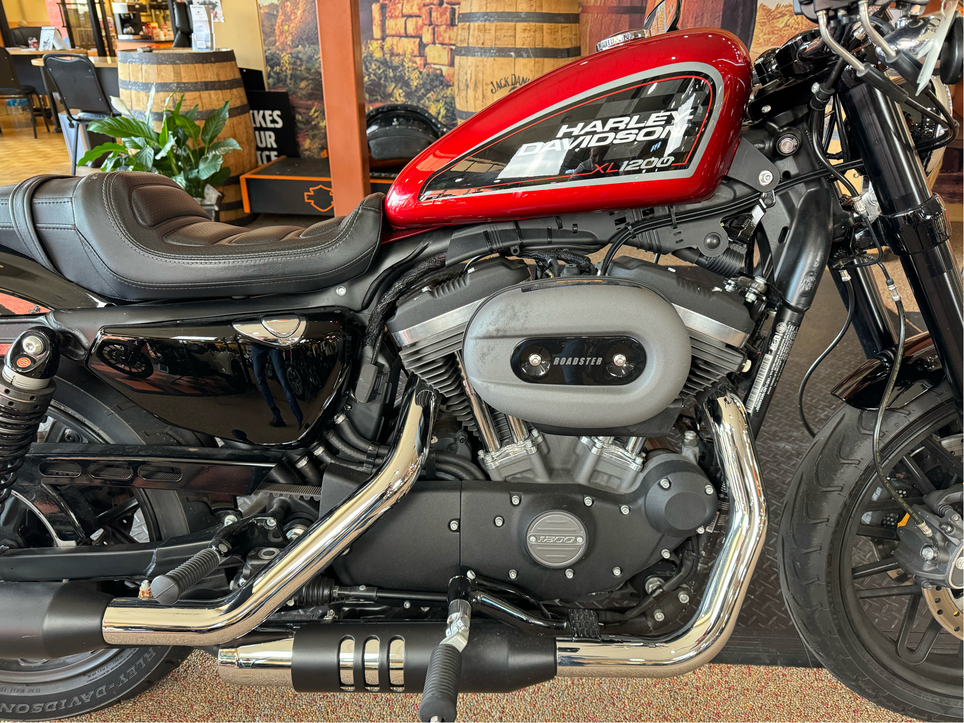 2019 Harley-Davidson Roadster™ in Knoxville, Tennessee - Photo 5