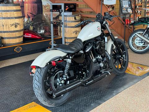 2022 Harley-Davidson Iron 883™ in Knoxville, Tennessee - Photo 8
