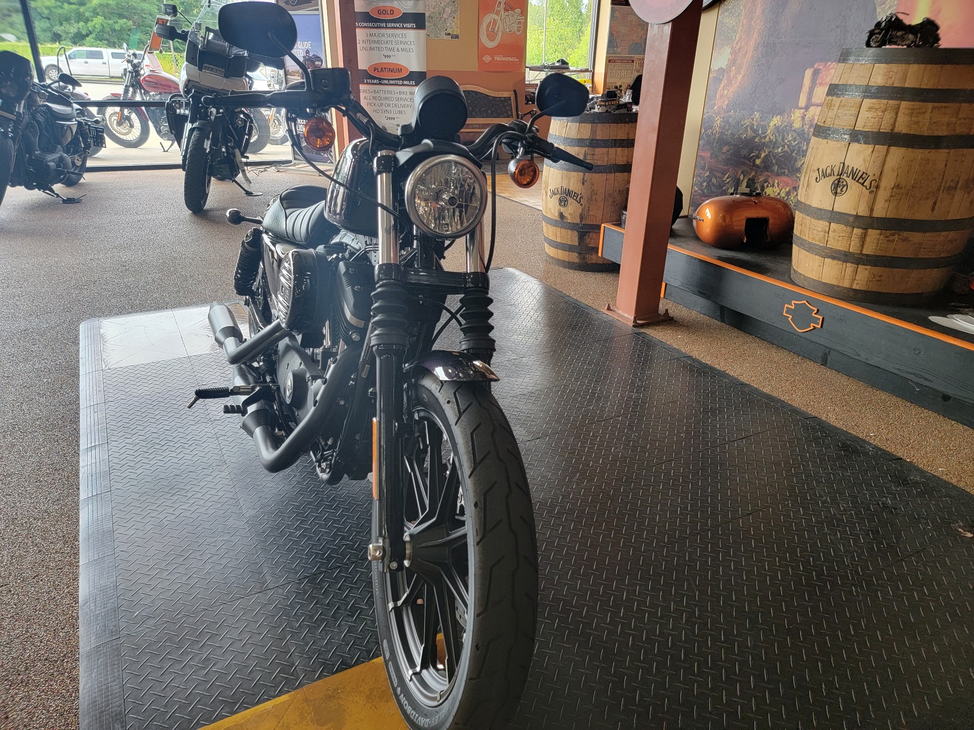 2021 Harley-Davidson Iron 883™ in Knoxville, Tennessee - Photo 3