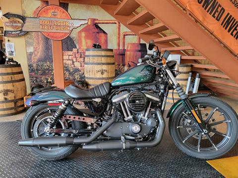 2021 Harley-Davidson Iron 883™ in Knoxville, Tennessee - Photo 1