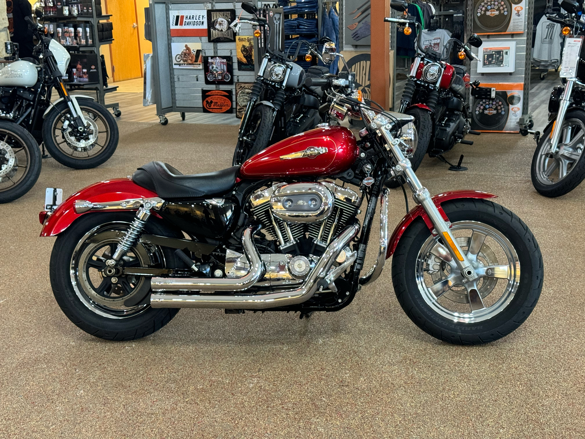 2013 Harley-Davidson Sportster® 1200 Custom in Knoxville, Tennessee - Photo 1