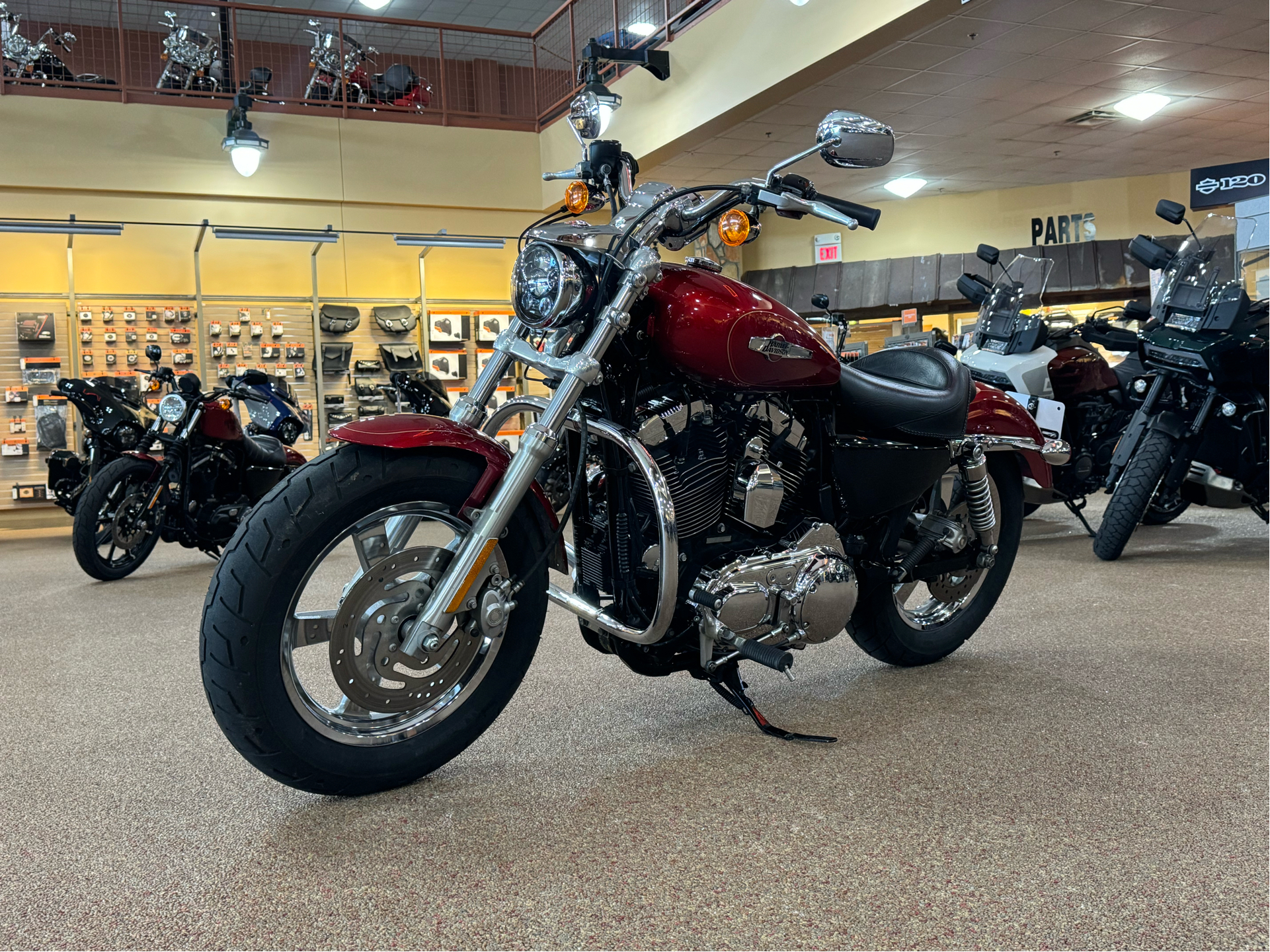 2013 Harley-Davidson Sportster® 1200 Custom in Knoxville, Tennessee - Photo 14