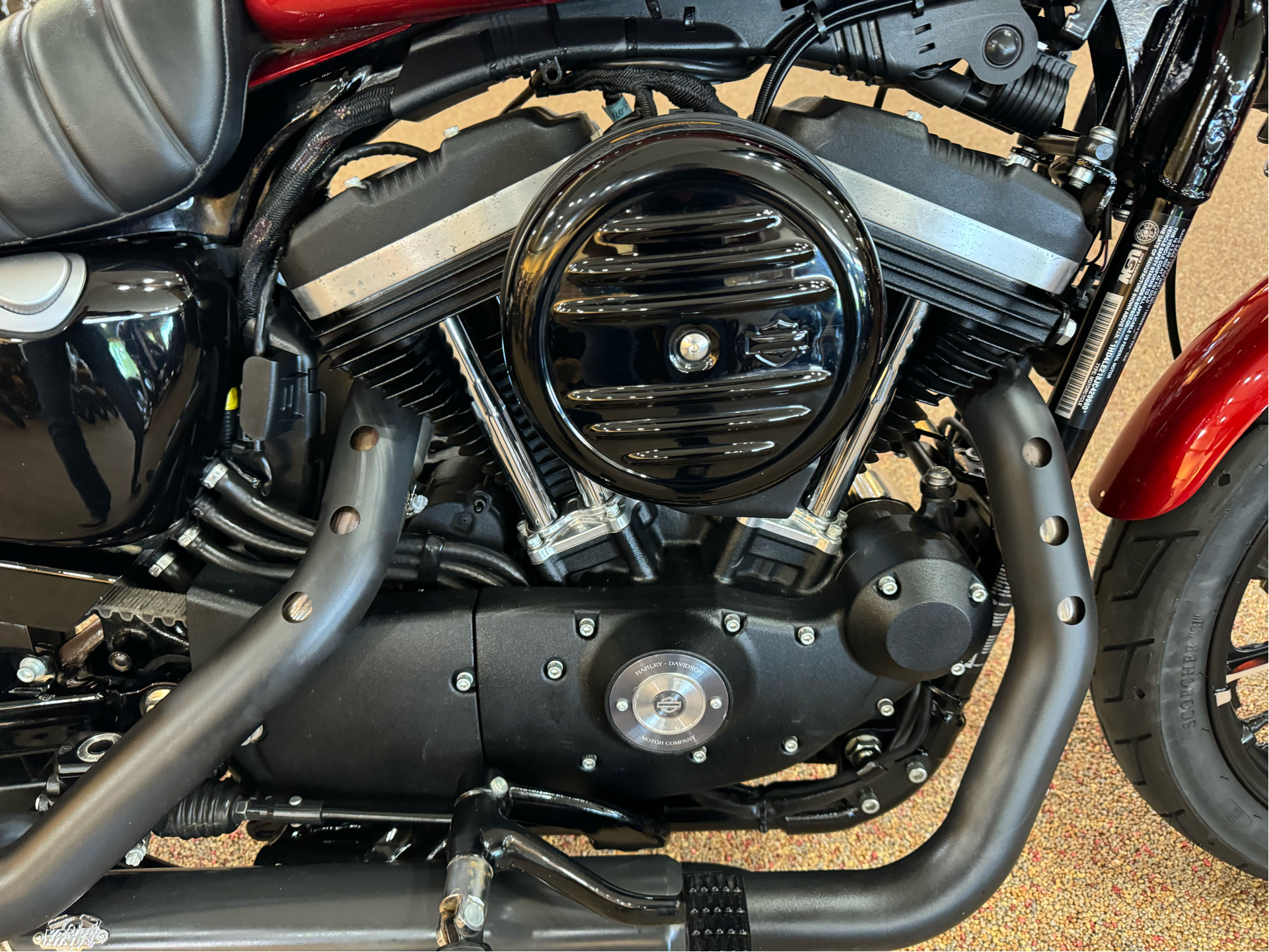 2018 Harley-Davidson Iron 883™ in Knoxville, Tennessee - Photo 6