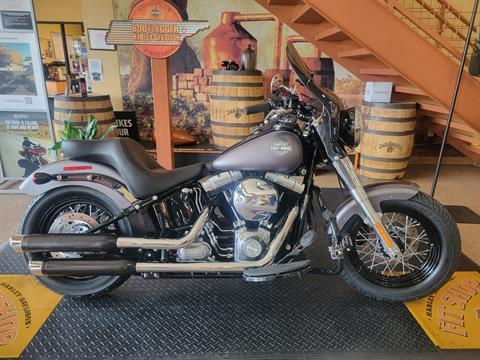2017 Harley-Davidson Softail Slim® in Knoxville, Tennessee - Photo 1