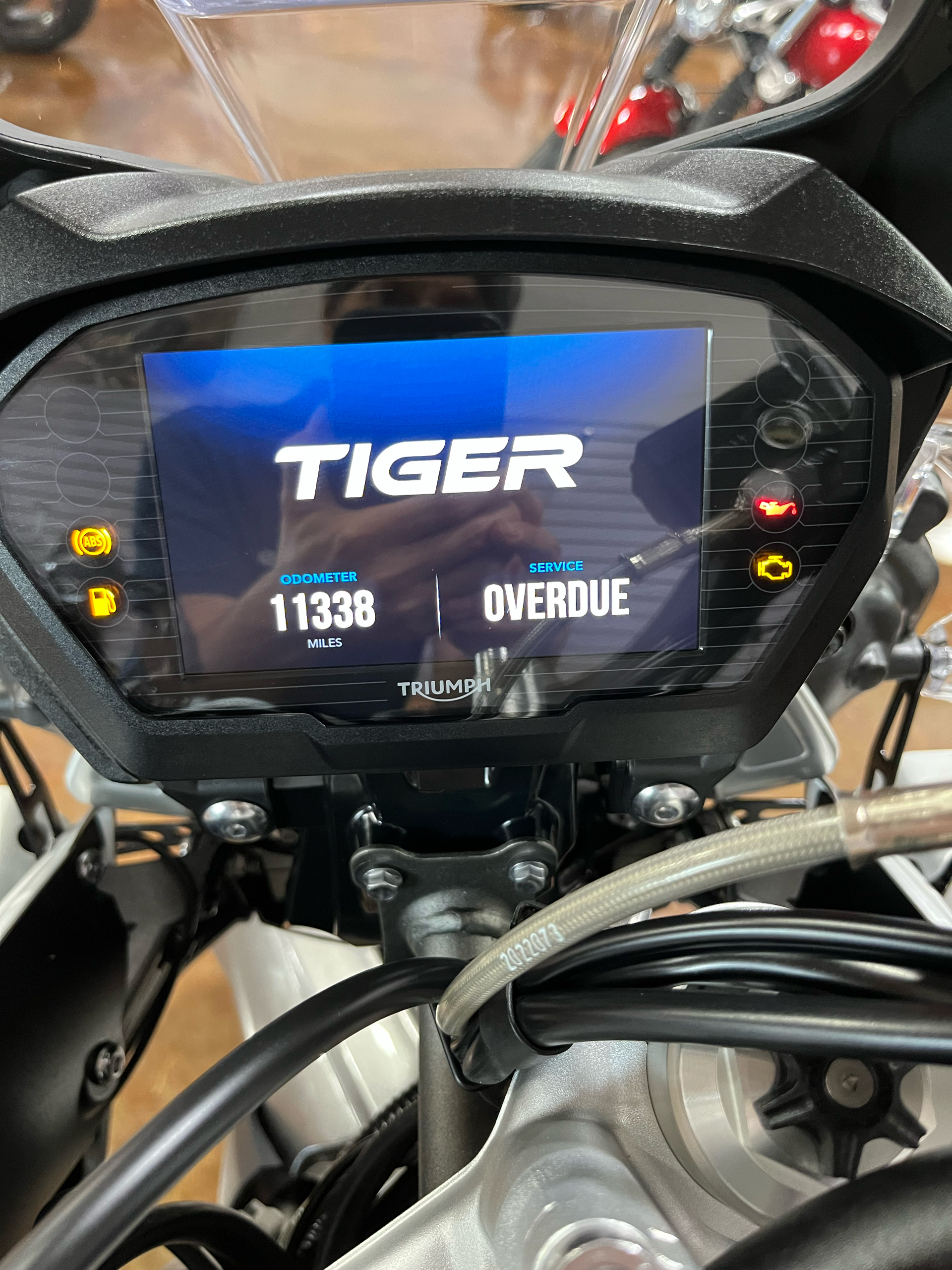 2019 Triumph Tiger 800 XRt in Douglasville, Georgia - Photo 9