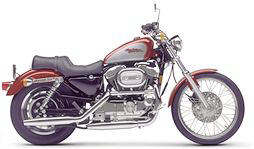 1999 Harley-Davidson XL 1200C Sportster® 1200 Custom in Augusta, Maine