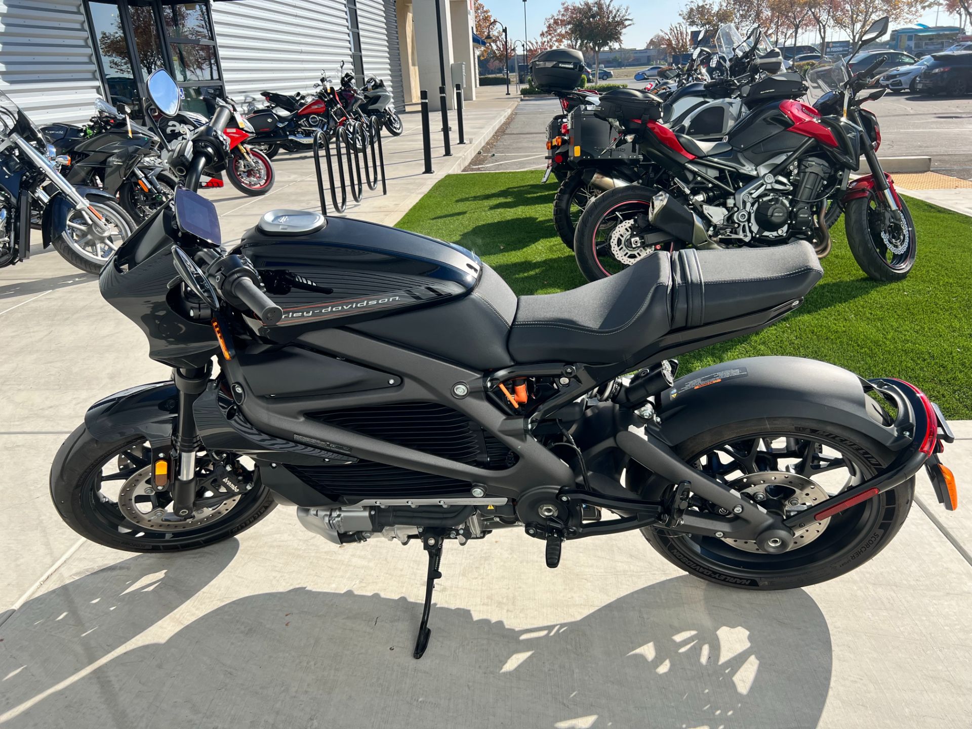 2020 Harley-Davidson Livewire™ in Elk Grove, California - Photo 2