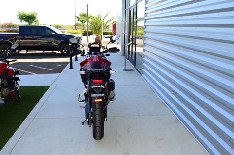 2024 Triumph Tiger 900 GT Pro in Elk Grove, California - Photo 6