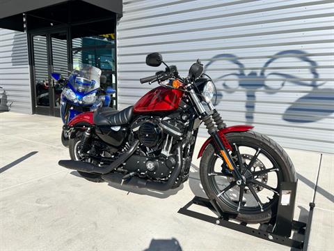 2019 Harley-Davidson Iron 883™ in Elk Grove, California - Photo 3