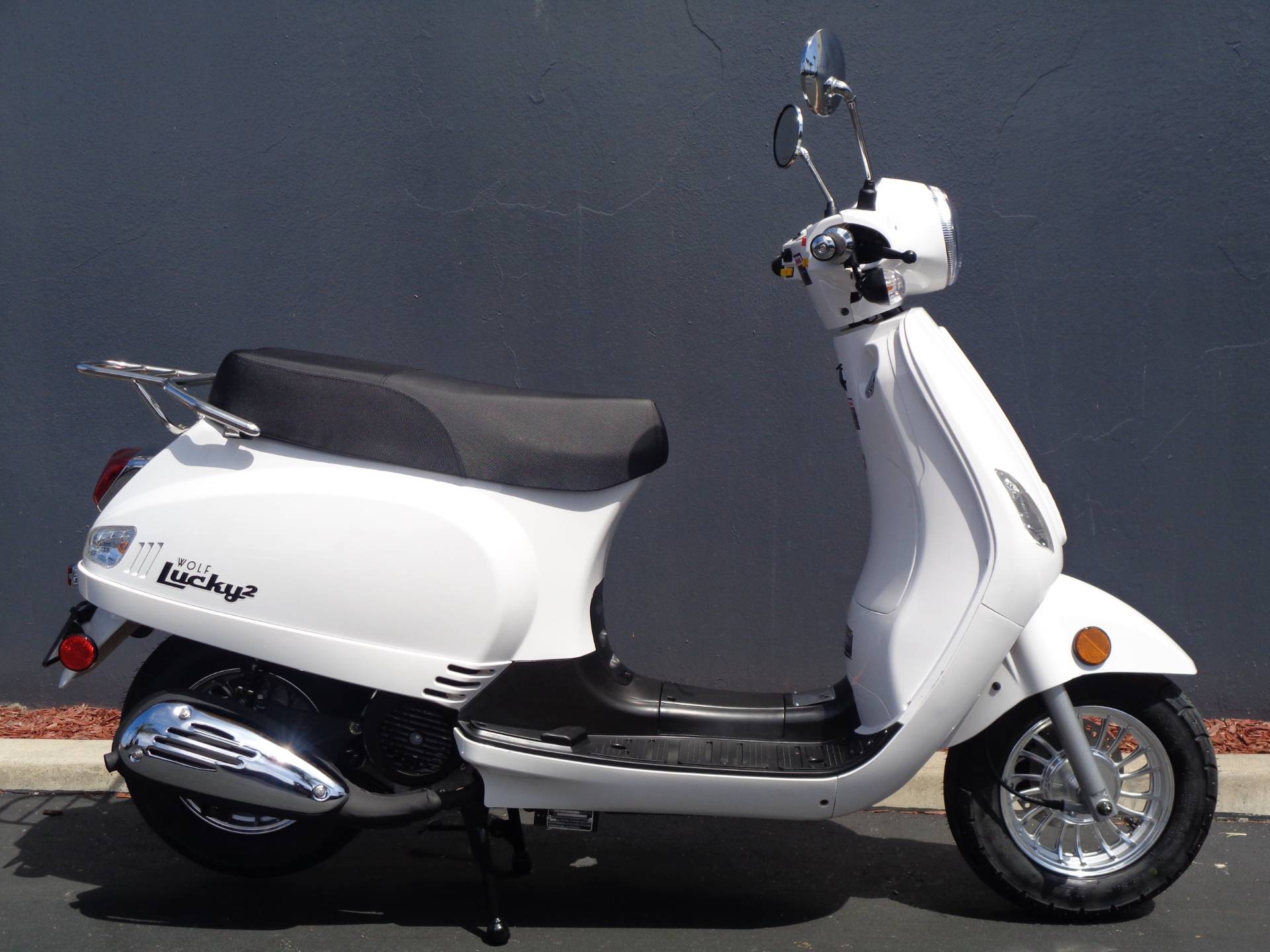 2019 Wolf Brand Scooters Wolf Lucky II in Chula Vista, California - Photo 1