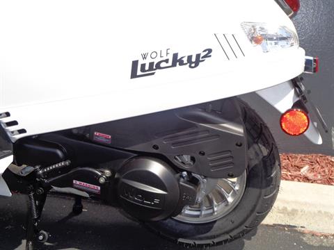 2019 Wolf Brand Scooters Wolf Lucky II in Chula Vista, California - Photo 23