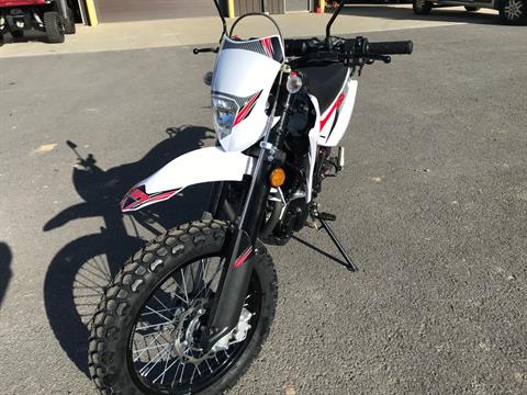 2022 SSR Motorsports XF250X Dual Sport in South Wales, New York - Photo 5