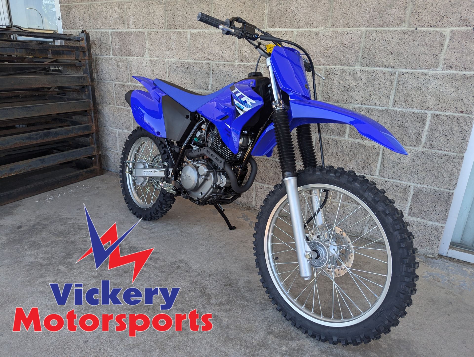 2025 Yamaha TTR230 in Denver, Colorado - Photo 1