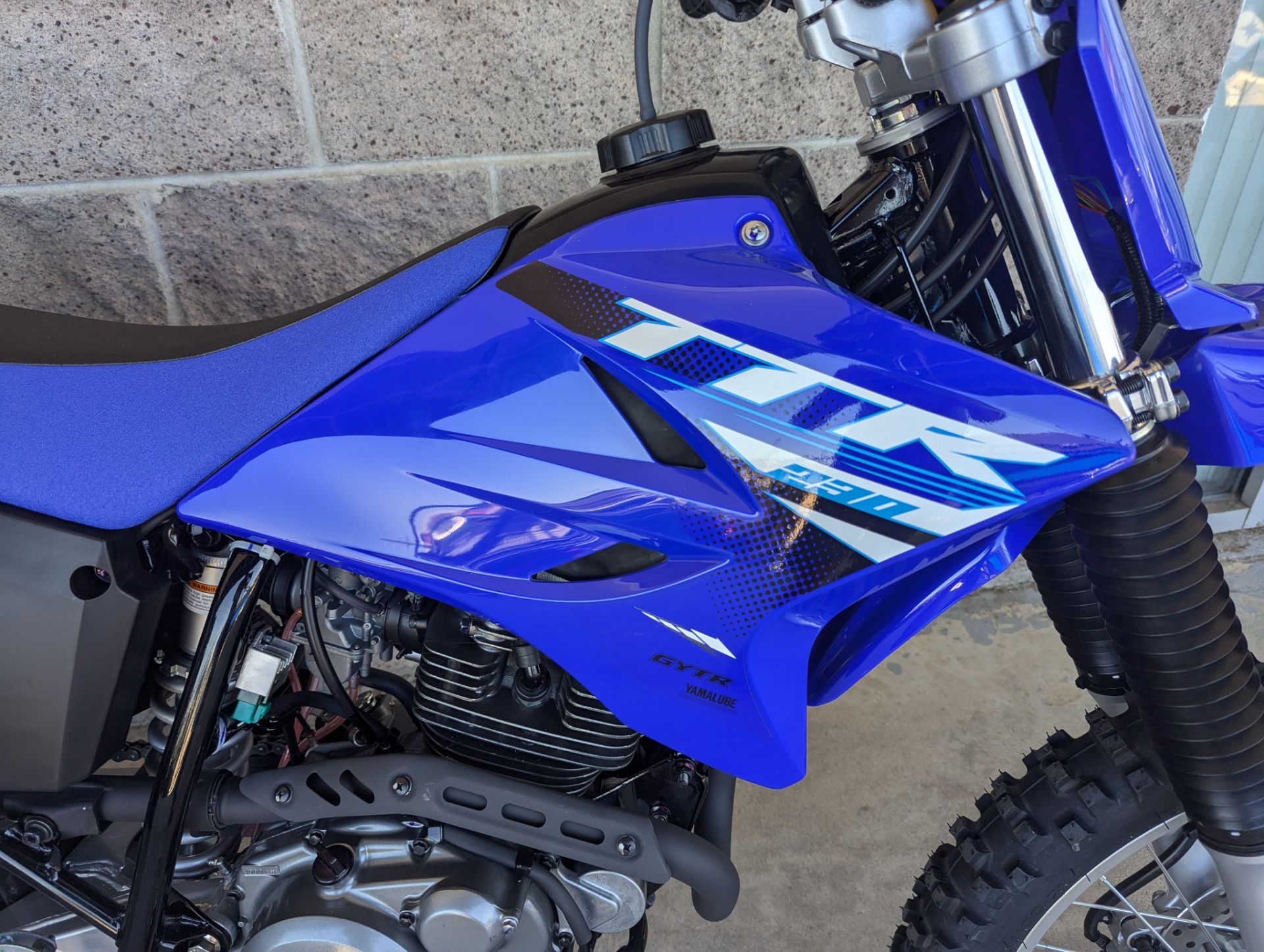 2025 Yamaha TTR230 in Denver, Colorado - Photo 5