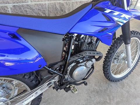 2025 Yamaha TTR230 in Denver, Colorado - Photo 6