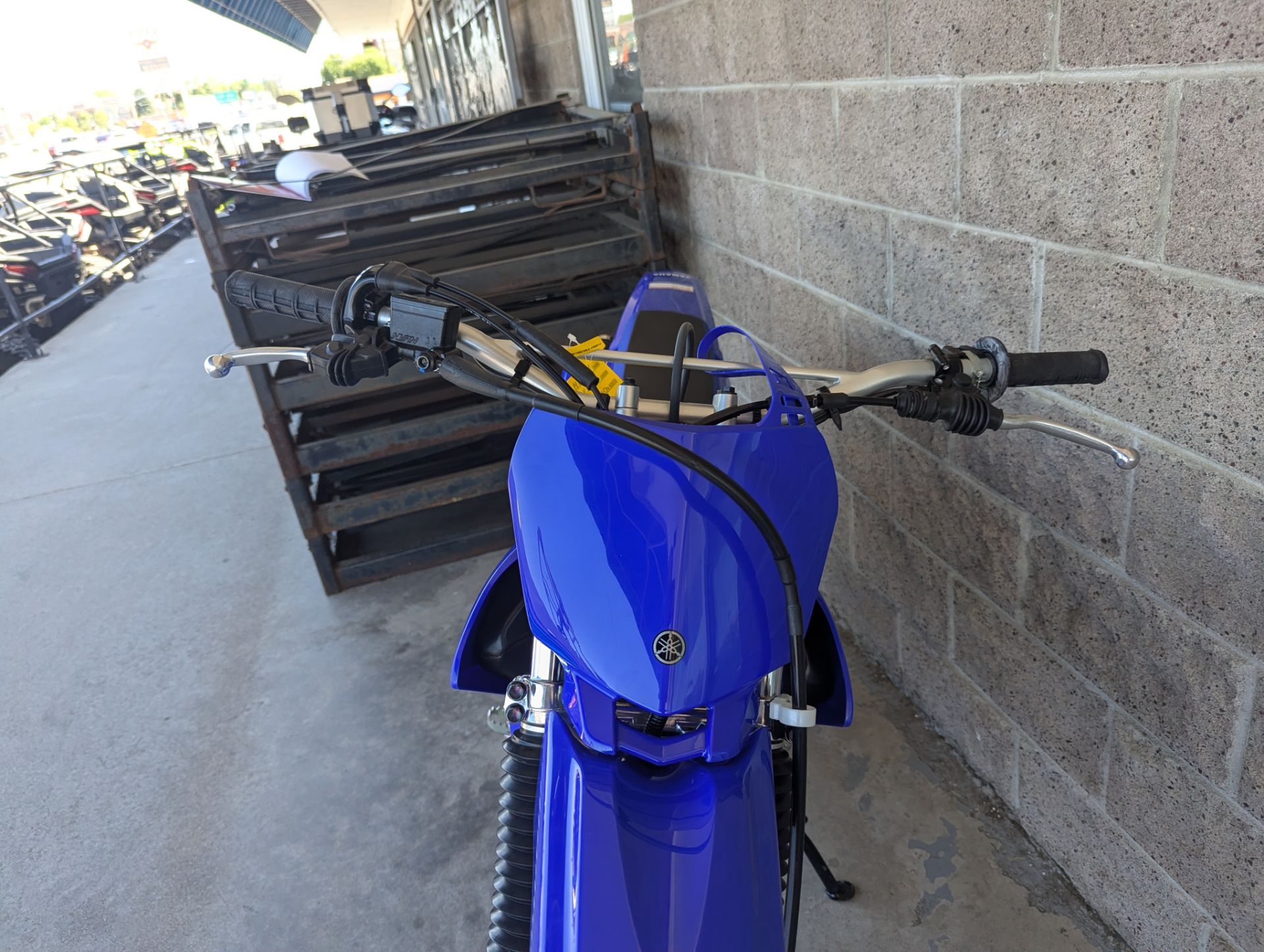 2025 Yamaha TTR230 in Denver, Colorado - Photo 14