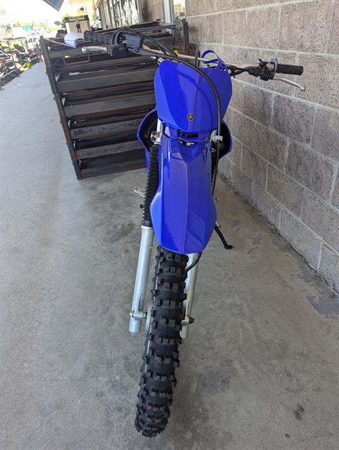 2025 Yamaha TTR230 in Denver, Colorado - Photo 15