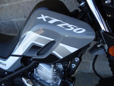 2024 Yamaha XT250 in Denver, Colorado - Photo 6