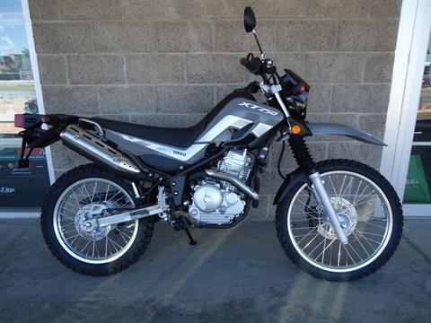2024 Yamaha XT250 in Denver, Colorado - Photo 2