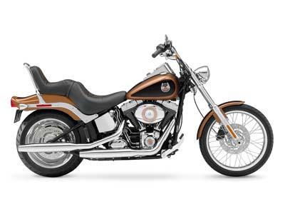 2008 Harley-Davidson Softail® Custom in Blacksburg, South Carolina