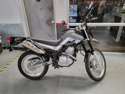 2023 Yamaha XT250 in Goleta, California - Photo 3