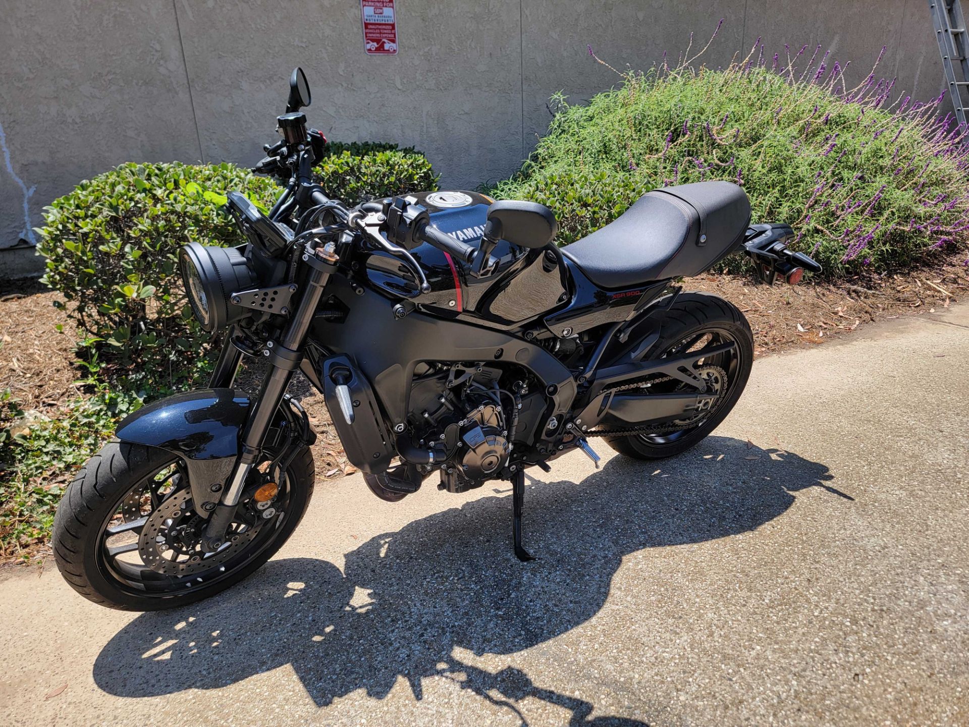 2022 Yamaha XSR900 in Goleta, California - Photo 1