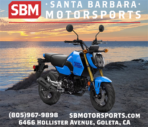 2025 Honda Grom in Goleta, California - Photo 1