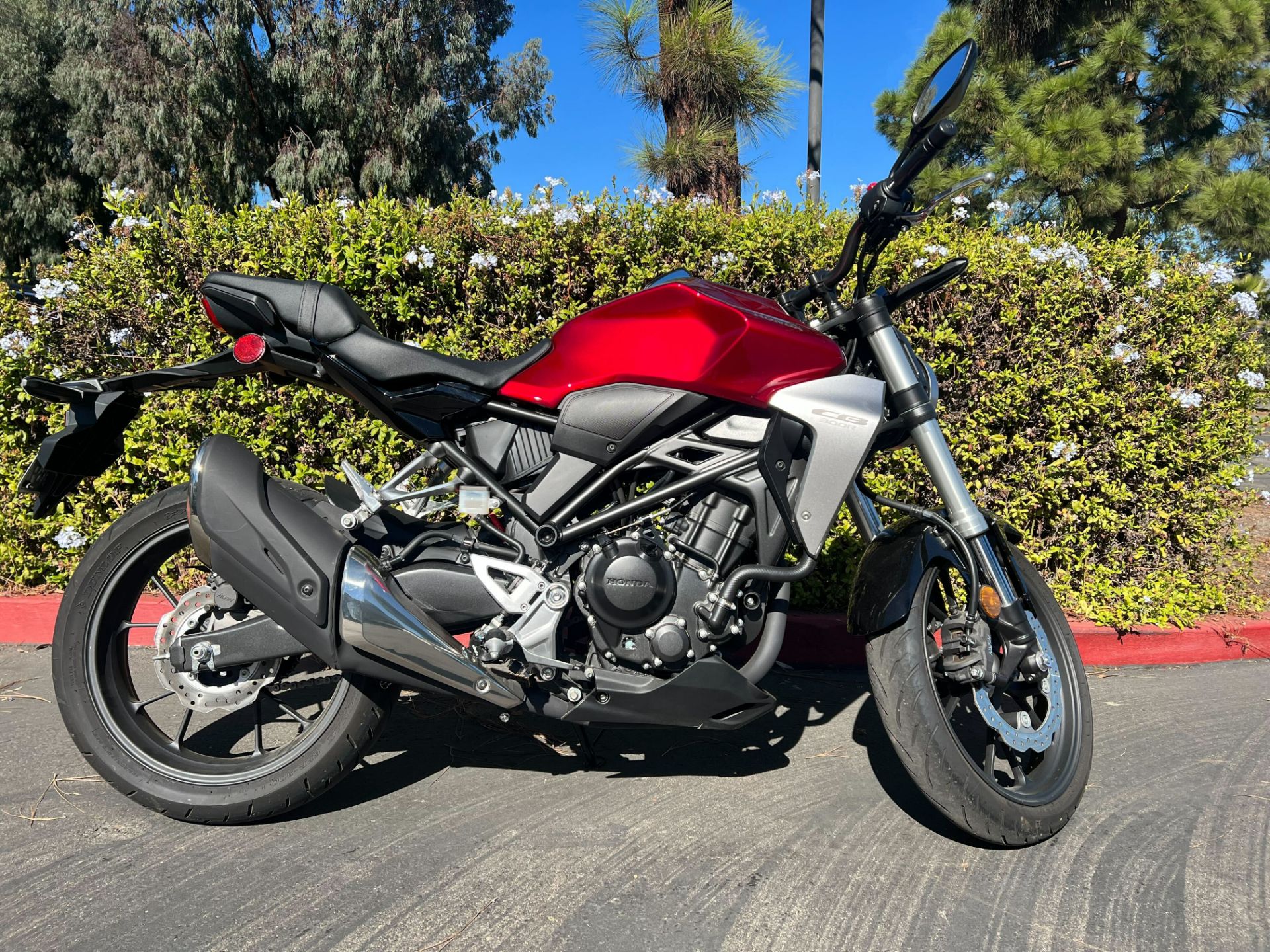 2019 Honda CB300R in Goleta, California - Photo 6