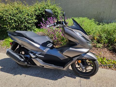 2023 Honda PCX in Goleta, California - Photo 2