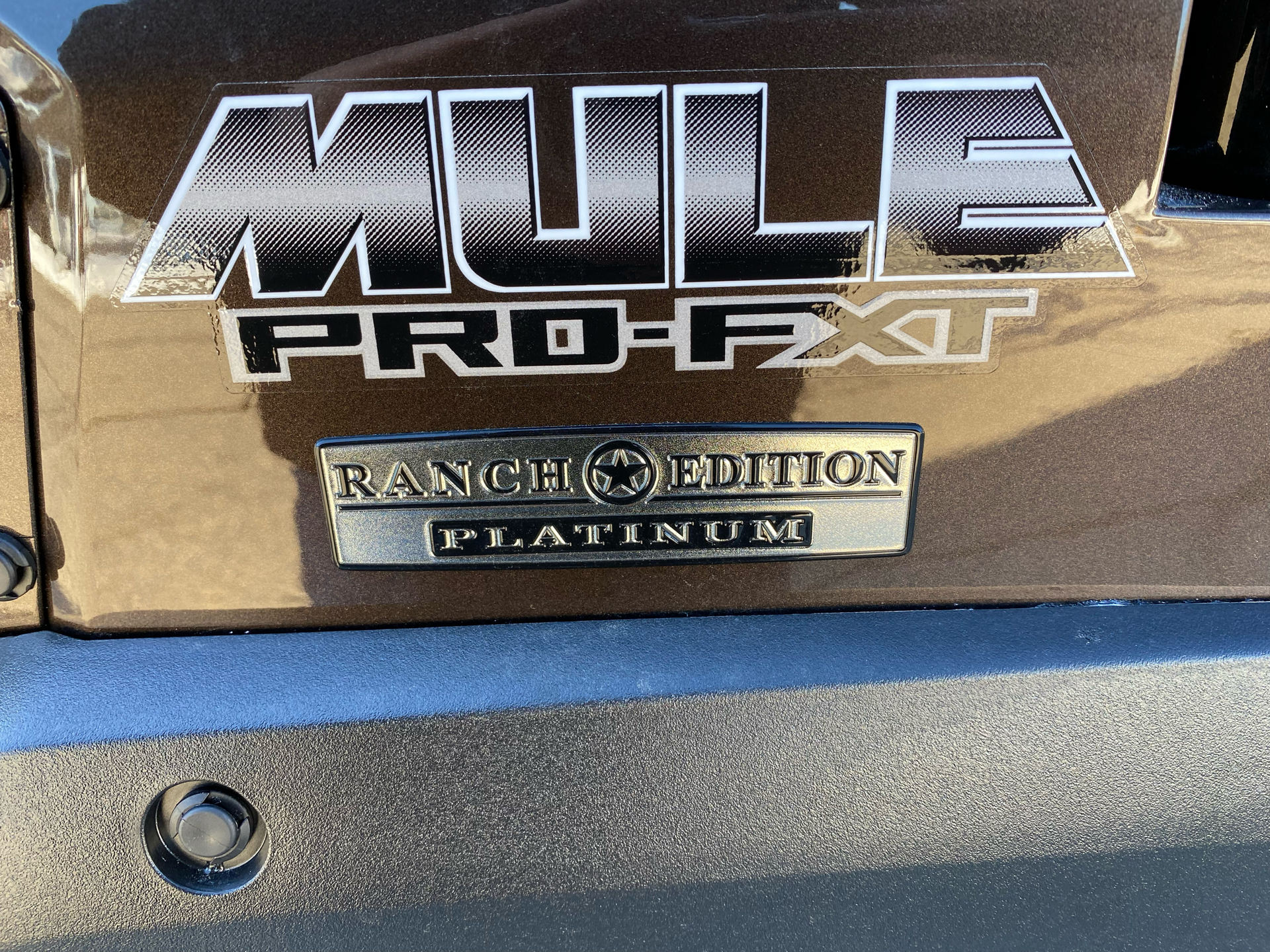 2022 Kawasaki Mule PRO-FXT Ranch Edition Platinum in Lebanon, Maine - Photo 9