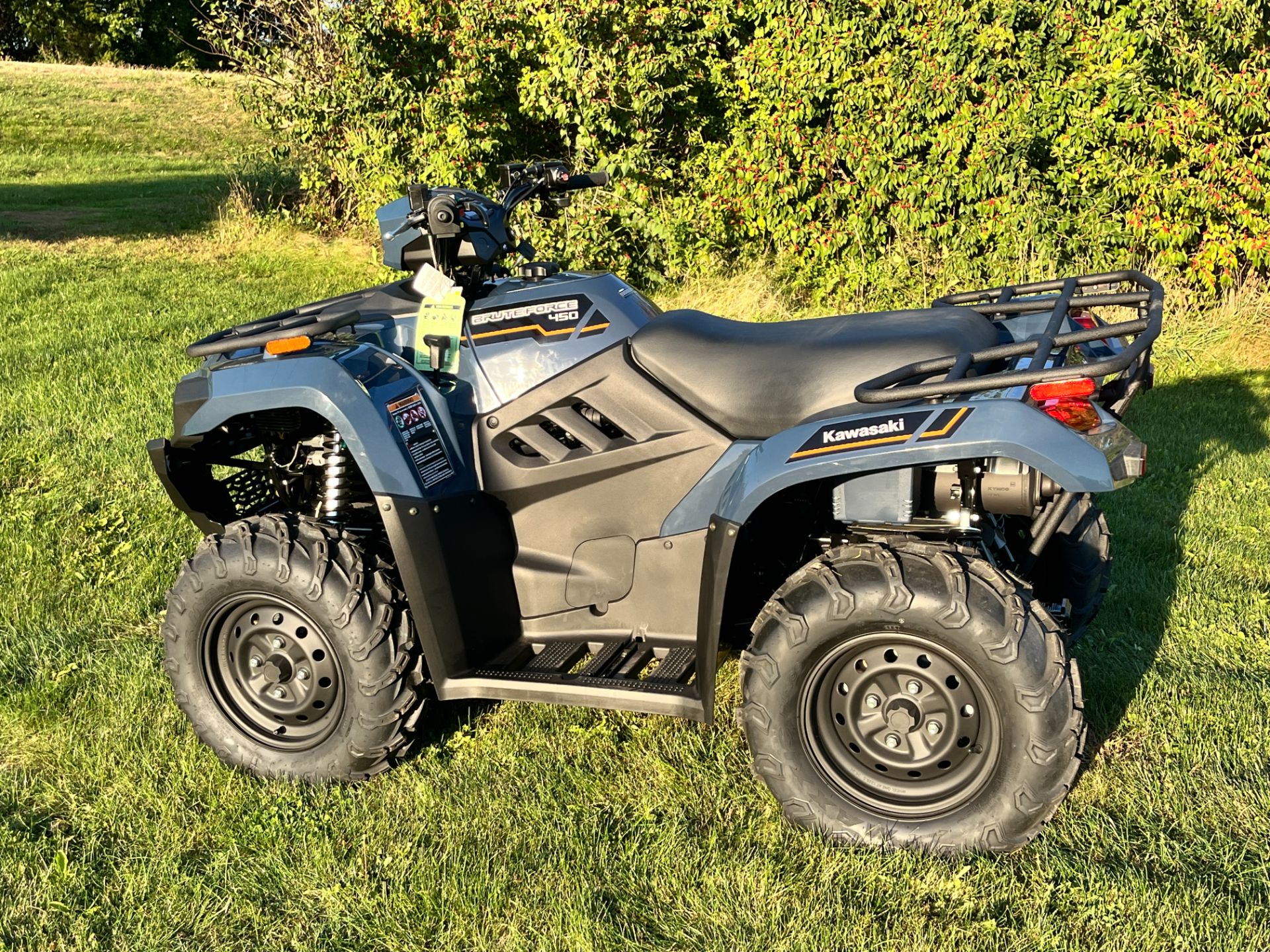 2025 Kawasaki Brute Force 450 4x4 in Belvidere, Illinois - Photo 2