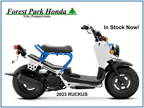 2023 Honda Ruckus in Erie, Pennsylvania - Photo 1