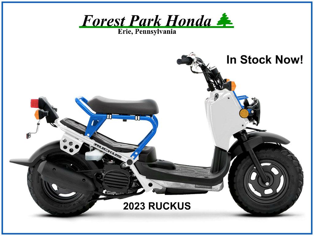 2023 Honda Ruckus in Erie, Pennsylvania - Photo 3