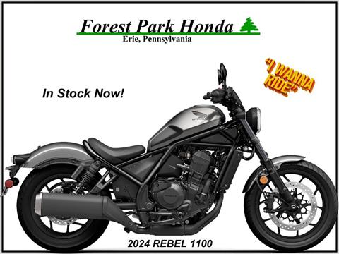 2024 Honda Rebel 1100 in Erie, Pennsylvania - Photo 1