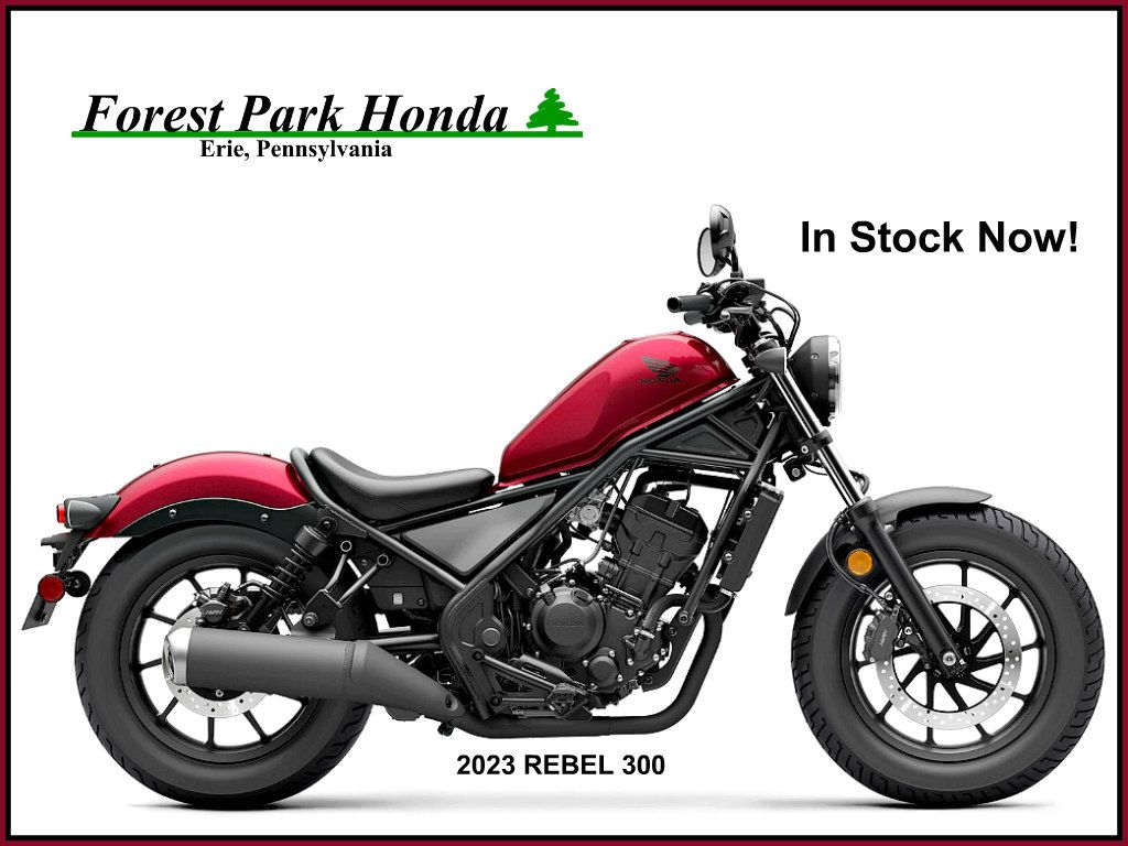 2023 Honda Rebel 300 in Erie, Pennsylvania - Photo 1