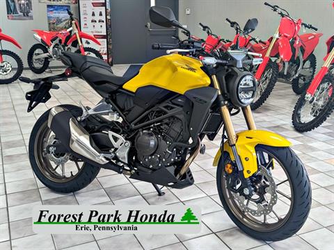 2024 Honda CB300R ABS in Erie, Pennsylvania - Photo 1