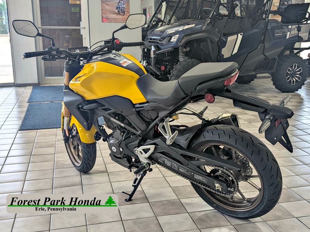 2024 Honda CB300R ABS in Erie, Pennsylvania - Photo 10
