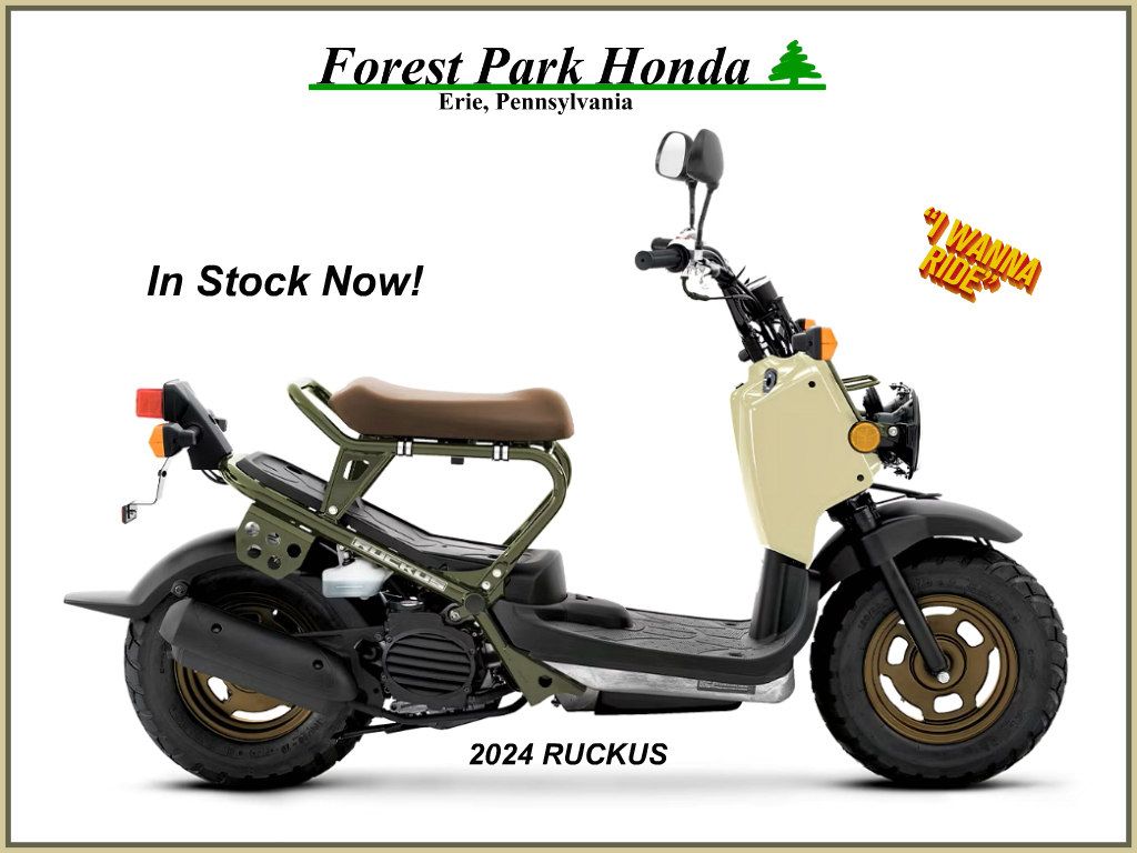 2024 Honda Ruckus in Erie, Pennsylvania - Photo 1