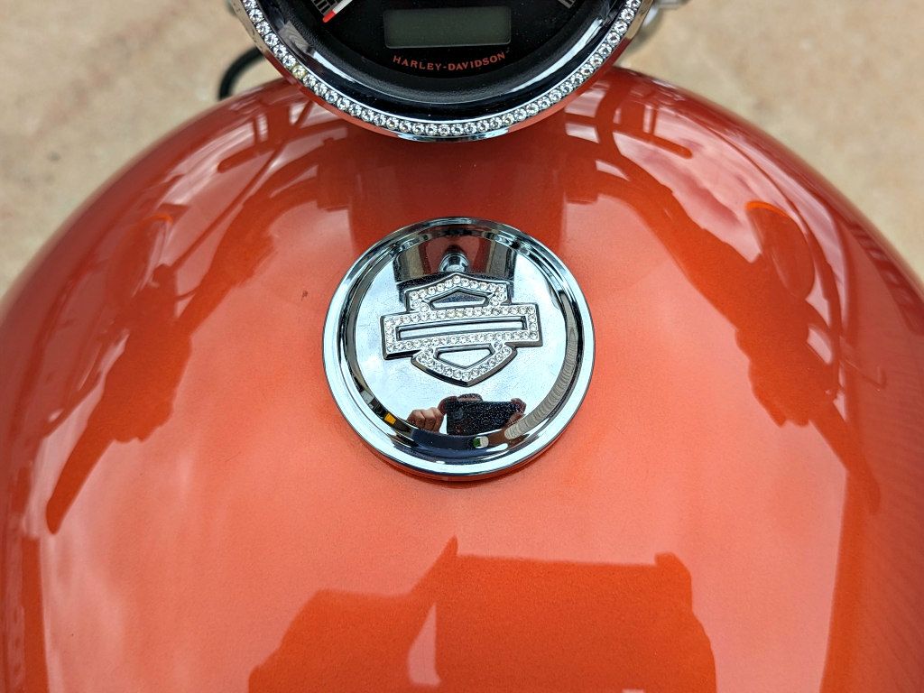 2011 Harley-Davidson Sportster® 1200 Custom in Erie, Pennsylvania - Photo 18