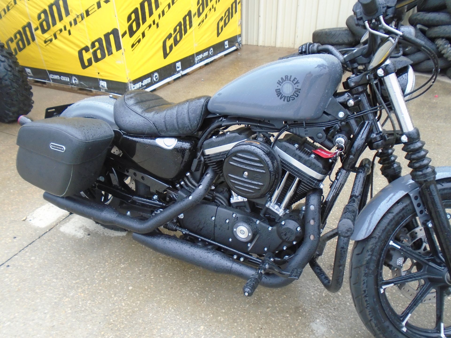 2022 Harley-Davidson Iron 883™ in Shawnee, Oklahoma - Photo 1