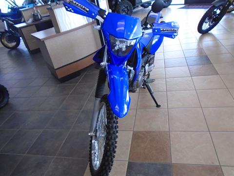 2024 Yamaha TT-R125LE in Shawnee, Oklahoma - Photo 2