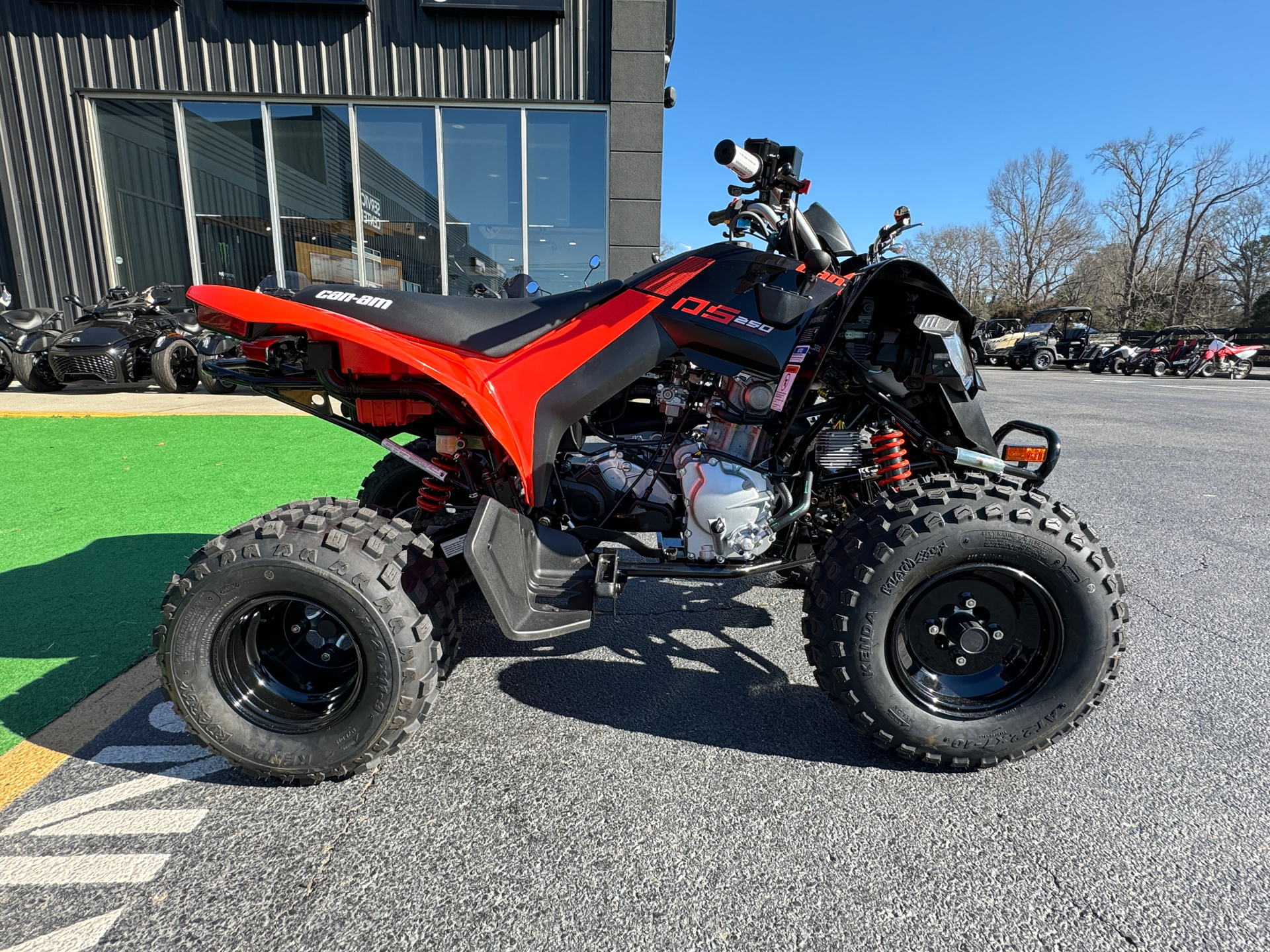 2024 Can-Am DS 250 in Byron, Georgia - Photo 1