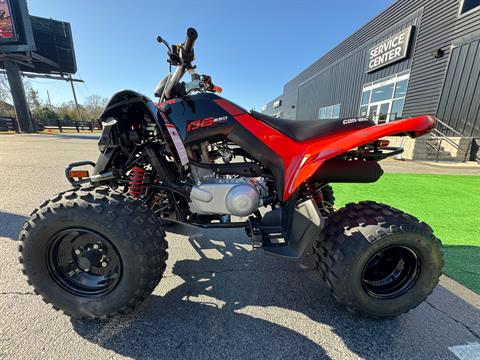2024 Can-Am DS 250 in Byron, Georgia - Photo 5