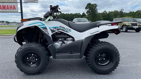 2022 Kawasaki Brute Force 300 in Greenville, North Carolina - Photo 7