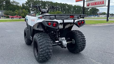 2022 Kawasaki Brute Force 300 in Greenville, North Carolina - Photo 9