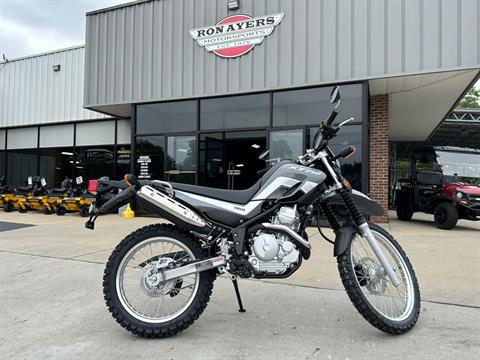 2023 Yamaha XT250 in Greenville, North Carolina