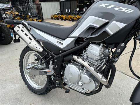 2023 Yamaha XT250 in Greenville, North Carolina - Photo 10
