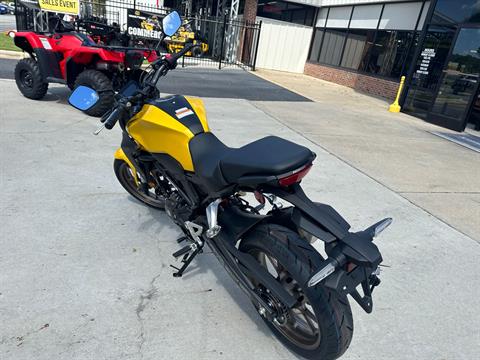 2023 Honda CB300R ABS in Greenville, North Carolina - Photo 20
