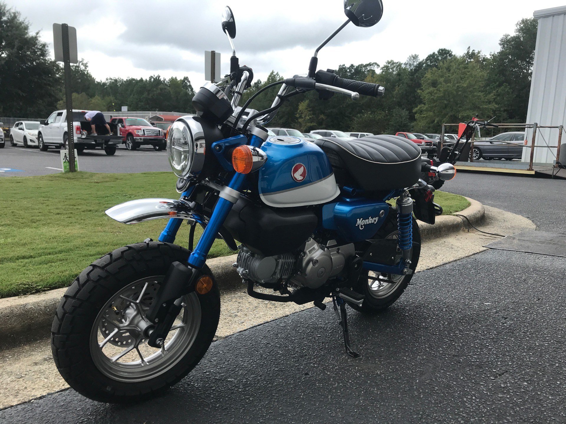 New 2021 Honda Monkey Motorcycles in Greenville, NC ...