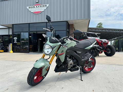 2023 Kawasaki Z125 Pro in Greenville, North Carolina - Photo 12